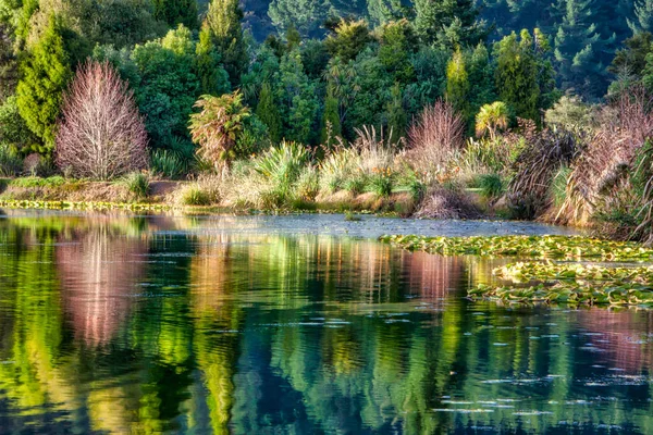 Természet Tükröződései Dunhams Point Reserve Északi Sziget — Stock Fotó