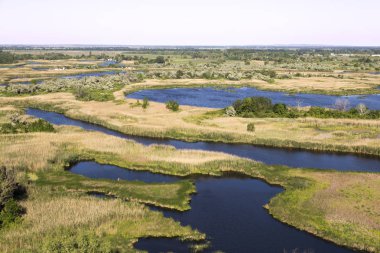 Yaz günü, Vorskla Nehri Deltası. Doğa manzara Ukrayna'nın saklıdır. Bir dolambaçlı düz nehir - sel düz üzerinde güzel manzara yukarıdan. Hava fotoğrafçılığı