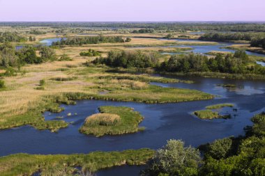 Yaz günü, Vorskla Nehri Deltası. Doğa manzara Ukrayna'nın saklıdır. Bir dolambaçlı düz nehir - sel düz üzerinde güzel manzara yukarıdan. Hava fotoğrafçılığı