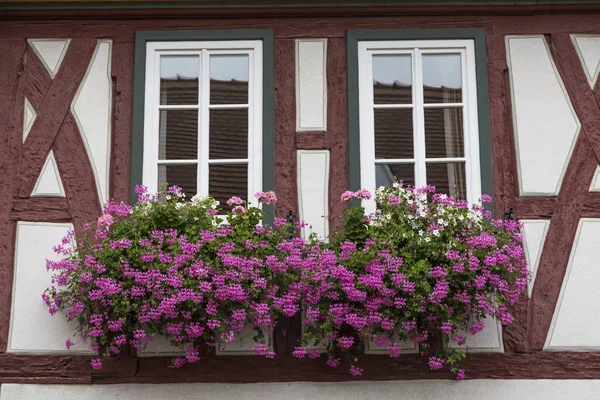 Duas Janelas Decoradas Com Flores Fachada Uma Antiga Casa Meia — Fotografia de Stock