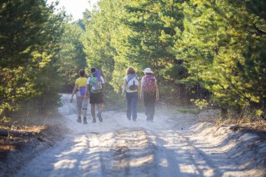 Bir çam ormanı içinde bir orman yolu üzerinde sırt çantaları ile turistler. Hiking, sağlıklı, aktif yaşam tarzı, macera, yaz tatili kavramı.