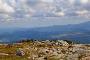 Dağ dağ manzarası, yaz. Alpin çayır, kayalar, dağ zirveleri zemin karşı. Dağdan Krivan, Yüksek Tatras - Slovakya'nın ulusal sembolü görüntüleyin. Seyahat, hiking kavramı. Turizm