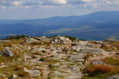 Dağ dağ manzarası, yaz. Alpin çayır, kayalar, dağ zirveleri zemin karşı. Dağdan Krivan, Yüksek Tatras - Slovakya'nın ulusal sembolü görüntüleyin. Seyahat, hiking kavramı. Turizm