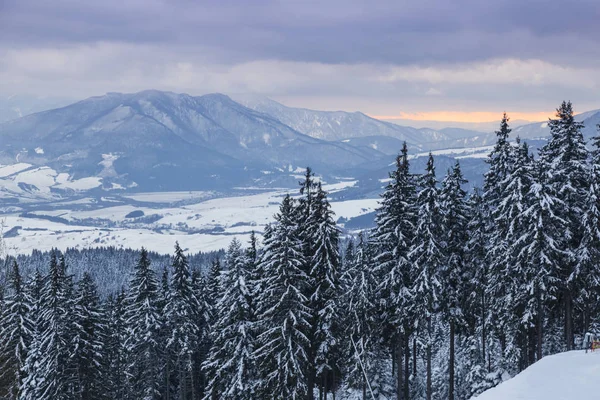 滑雪公园库宾斯卡 西塔特拉斯 斯洛伐克 在背景山峰上的雪覆盖的山谷的看法 斯洛伐克 滑雪的旅游目的地 — 图库照片