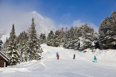 Dağ Kayak Tatil Strbske Pleso, yüksek Tatras, Slovakya - puslu kış günü izler.