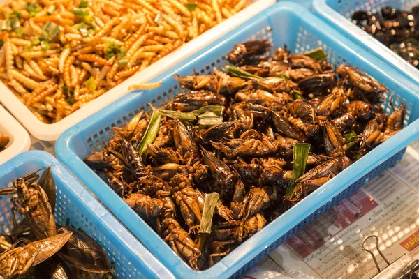 Fried insects - exotic food . Night market in Bangkok. Thailand. Traditional thai street food. Famous tourism destination, tourist attractio