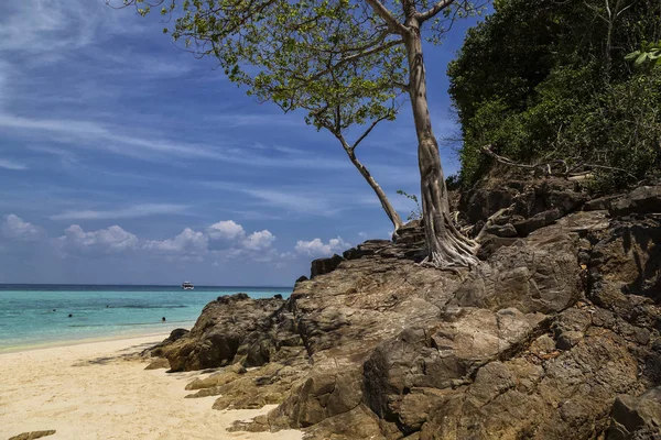 Tropiskt Paradis Tropisk Havet Kustlinje Turkost Vatten Sandiga Strand Träd — Stockfoto