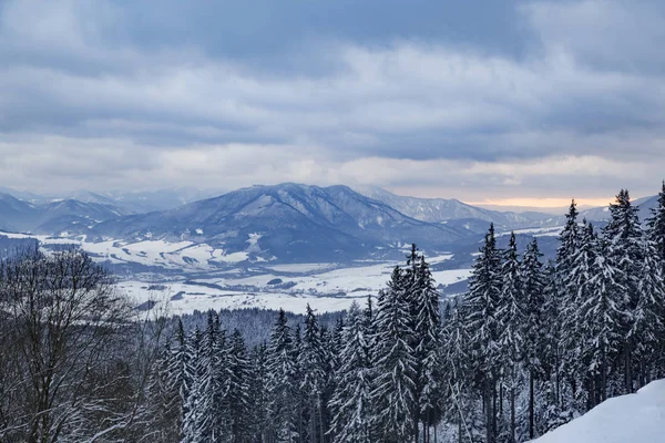 滑雪公园库宾斯卡 西塔特拉斯 斯洛伐克 在背景山峰上的雪覆盖的山谷的看法 斯洛伐克 滑雪的旅游目的地 — 图库照片