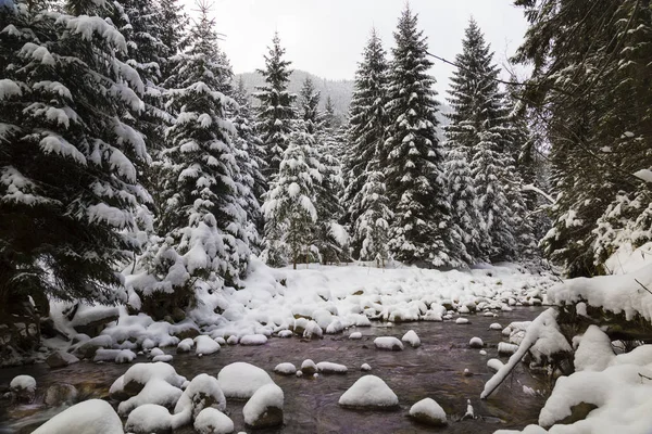 Winterlandschap Fantastische Winter Bos Sneeuw Berg Rivier Met Banken Bedekt — Stockfoto