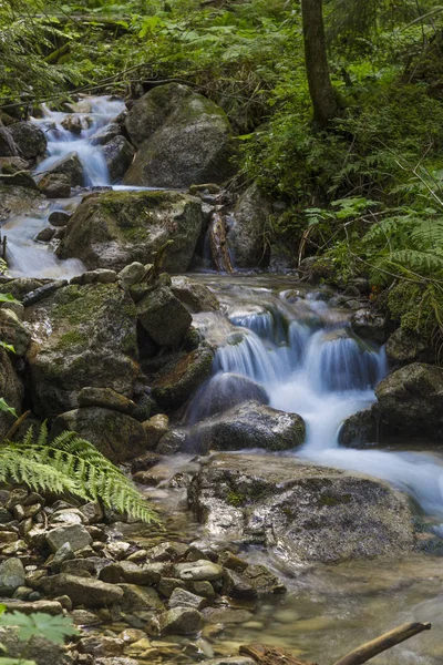 高速山川苔石と緑濃い森で岩の間を流れます 夏の山の風景 美しい自然 タトラ山脈 スロバキア — ストック写真