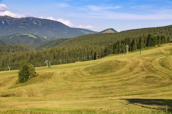 Summer Landscape Mountains Mowed Grass Hills Surrounded Mountains Coniferous Forest — Stock Photo, Image