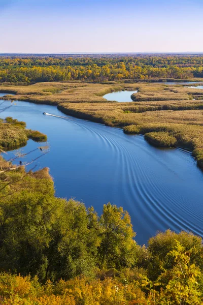 Panorama Delta Rivière Vorskla Jour Été Paysage Réserve Naturelle Ukraine — Photo