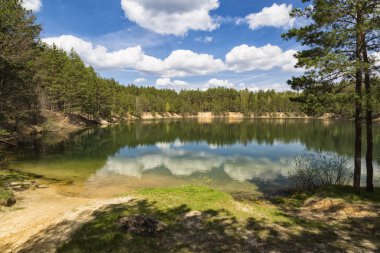 Yaz manzara: mavi parlak bir bulutlu gün çamı ormanıyla çevrili Gölü. Ukrayna güzel doğası. Kharkiv bölgesi