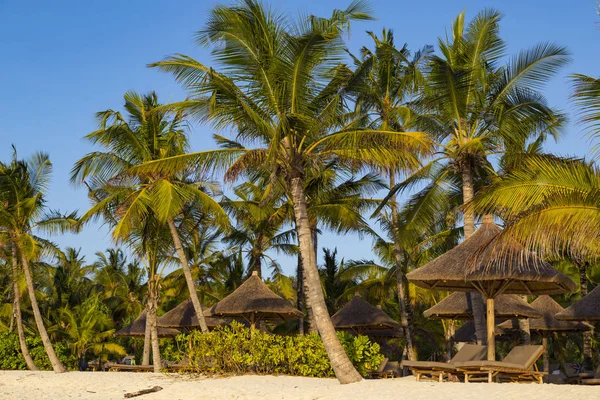 Şemsiye ve şezlong plaj palmiye ağaçlarının altında. Okyanusu kıyısında Zanzibar Adası. Köy Kendwa. Tanzanya. Afrika. Turizm, plaj tatil, dinlenme, Spa