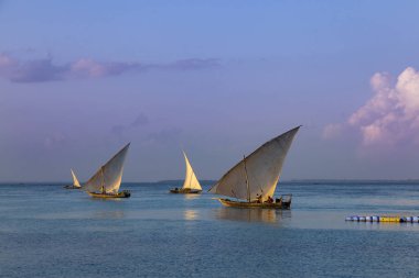 Teknelerden su yüzeyinde. Zanzibar Adası, Tanzanya, Afr