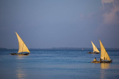 Teknelerden su yüzeyinde. Zanzibar Adası, Tanzanya, Afr