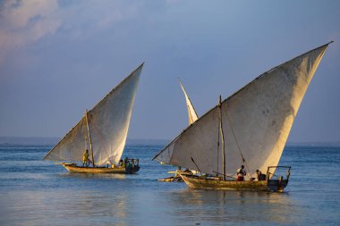 Teknelerden su yüzeyinde. Zanzibar Adası, Tanzanya, Afr