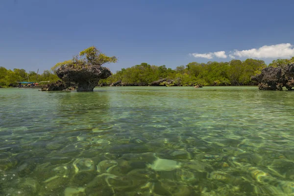 Manglares en la laguna. Isla Kwale. Zanzíbar . —  Fotos de Stock