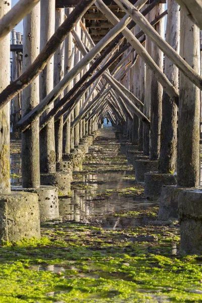Σωρούς ξυλείας από ξύλινη γέφυρα πεζών πάνω από τον ωκεανό — Φωτογραφία Αρχείου