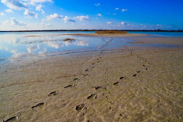 Empreintes humaines dans le sable menant au lac — Photo