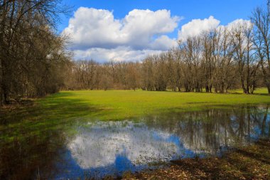 bahar manzara çayır sular altında 