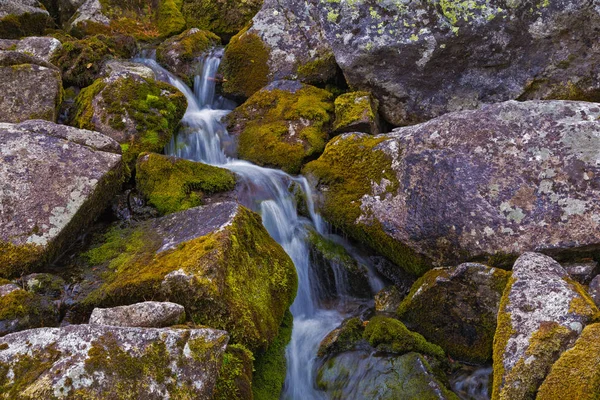 Corrente de montanha fluindo entre as pedras musgosas . — Fotografia de Stock