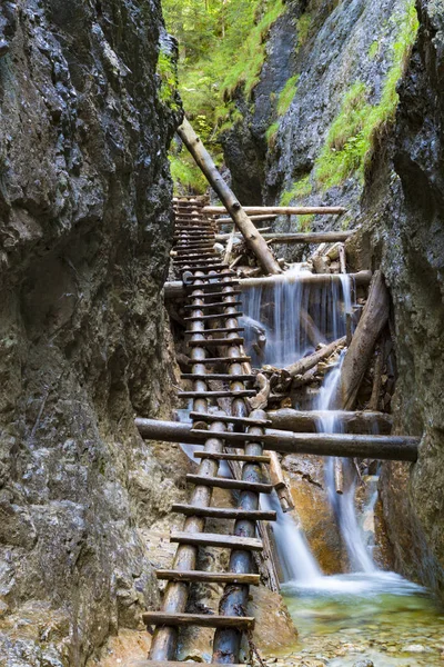 Národní park Slovenský ráj, Slovensko. Horský kaňon — Stock fotografie