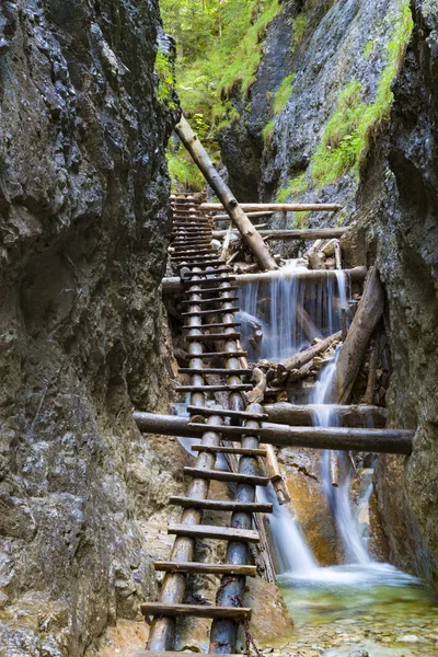 Slovak Cenneti Ulusal Parkı , Slovakya. Dağ kanyonu