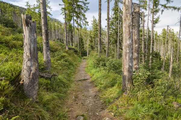 Hiking trail. High Tatras. Slovakia — Stock Photo, Image