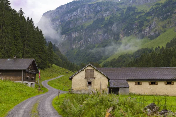 mountain wooded foggy gorge with shelter