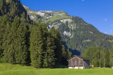 Yaz aylarında Alp vadisi. İsviçre Alpleri .