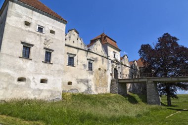 Eski güzel Svirz Kalesi dışında. Ukrayna