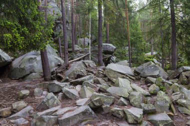 Orman dağ manzarası. Dovbush Kayalıkları. Ukrayna Karpatları