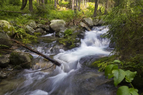 stock image Beautiful nature - forest mountain river. Slovakia