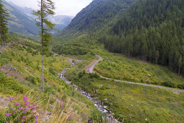 Summer landscape - mountain valley . Slovakia. Europe — Stock Photo, Image