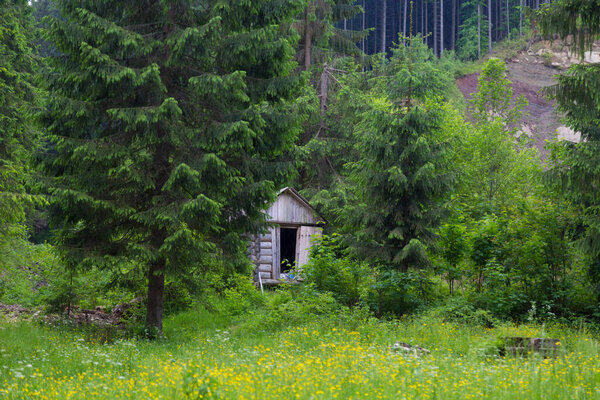 Nice small wooden hut among green trees in the mountains.