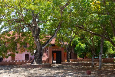 Changuu (Hapishane) Adası, Zanzibar, Tanzanya 'da terk edilmiş eski bir hapishane. Büyük ağaçları olan bir bina ve avlu. Turizm merkezi, turizm merkezi