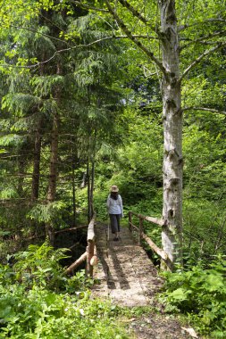 Karpat dağlarında yaz tatili. Ukrayna. Yeşil kozalaklı ormandaki tahta yaya köprüsünde yürüyüş yapan bir kadın. Turizm, aktif yaşam tarzı