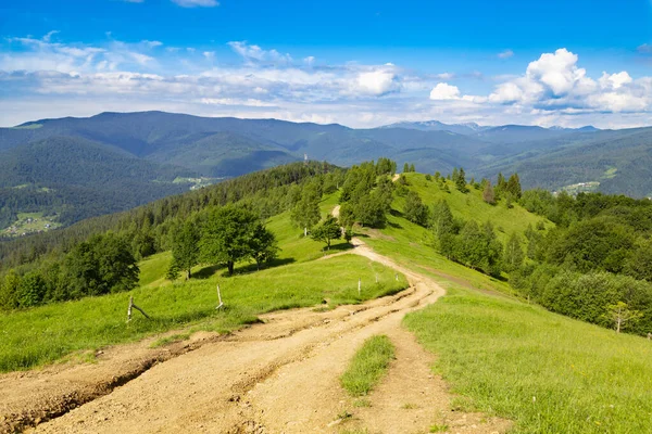 Mountain Summer Landscape Trail Forest Background Mountain Peaks Sky View — Stock Photo, Image