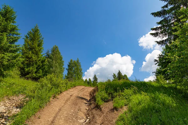 Sommarlandskap Bergen Vägen Uppåt Trail Bland Träden Mot Bakgrund Molnig — Stockfoto