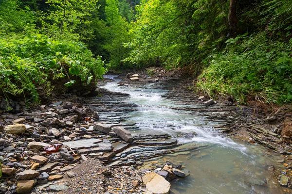 Beautiful Small Mountain River Green Forest Carpathian Flysch Belt Carpathians — Stock Photo, Image