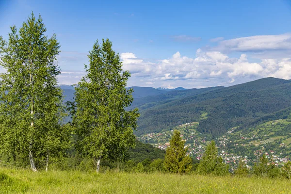 Mountain Summer Landscape Forest Background Mountain Peaks Sky View Makovytsia — Stock Photo, Image