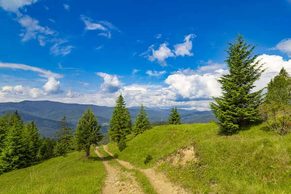 Mountain Summer Landscape Trail Forest Background Mountain Peaks Sky View — Stock Photo, Image