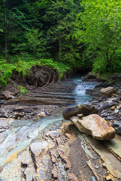 Krásná Malá Horská Řeka Mezi Zeleným Lesem Karpatském Pásu Karpaty — Stock fotografie