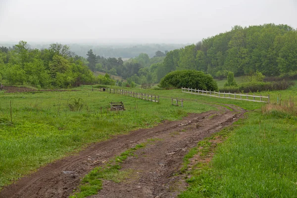 Landskap Med Grusväg Bland Gröna Kullarna Landsbygden Sommar Ukrainsk Natur — Stockfoto