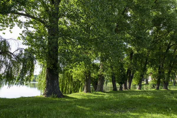 Starý Krajinářský Park Paláci Soubor Parku Obci Samchyky Ukrajina Turistické — Stock fotografie