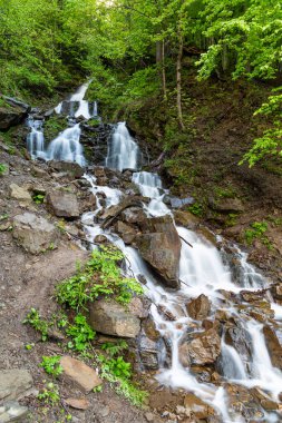 Carpathian dağlarındaki Cascade Trufanets Şelalesi. Yazın Transcarpathia 'daki en yüksek doğal şelale. Ukrayna. 