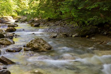 Yeşil orman arasında hızlı dağ nehri akıyor. Karpatların güzel doğası. Ukrayna. Avrupa. Yaz dağı manzarası