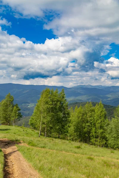 Mountain Summer Landscape Trail Forest Background Mountain Peaks Sky View — Stock Photo, Image