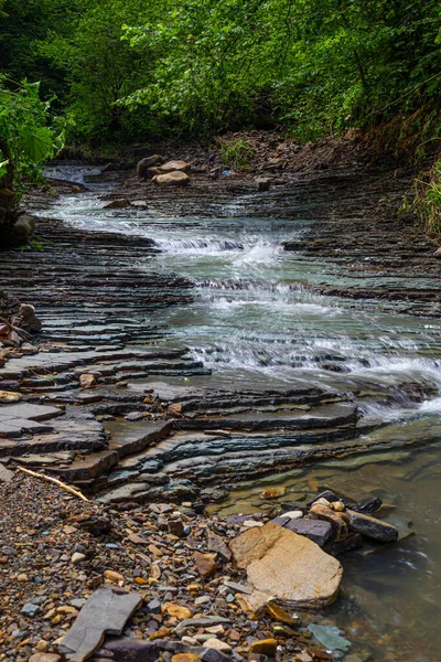 Krásná Malá Horská Řeka Mezi Zeleným Lesem Karpatský Pás Flysch — Stock fotografie